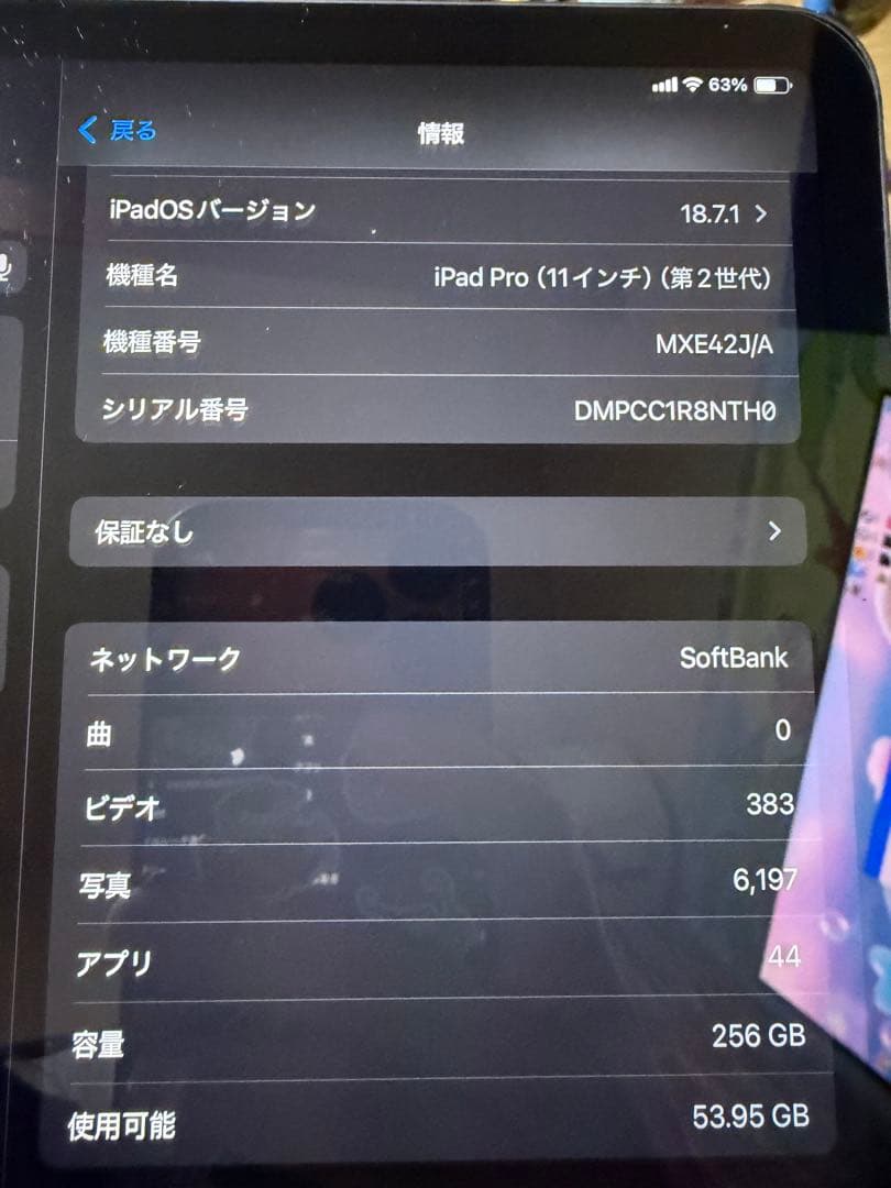 iPadpro 11インチ 第2世代 256G Wi-Fi+Cellular