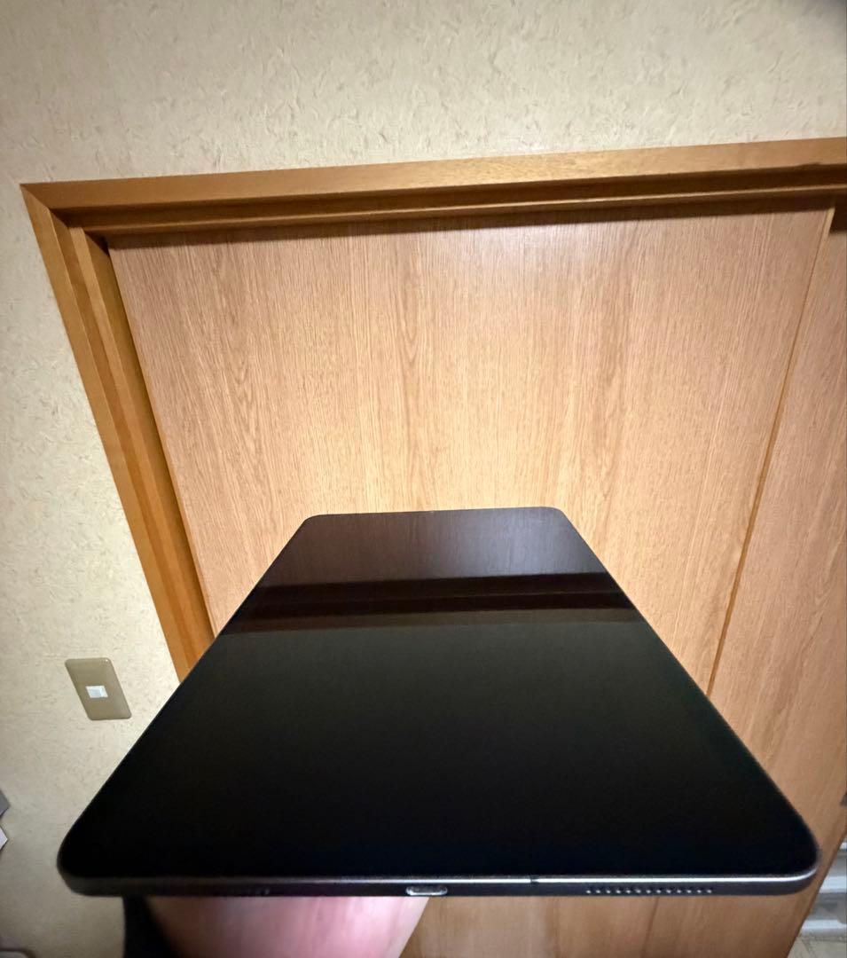 iPadpro 11インチ 第2世代 256G Wi-Fi+Cellular