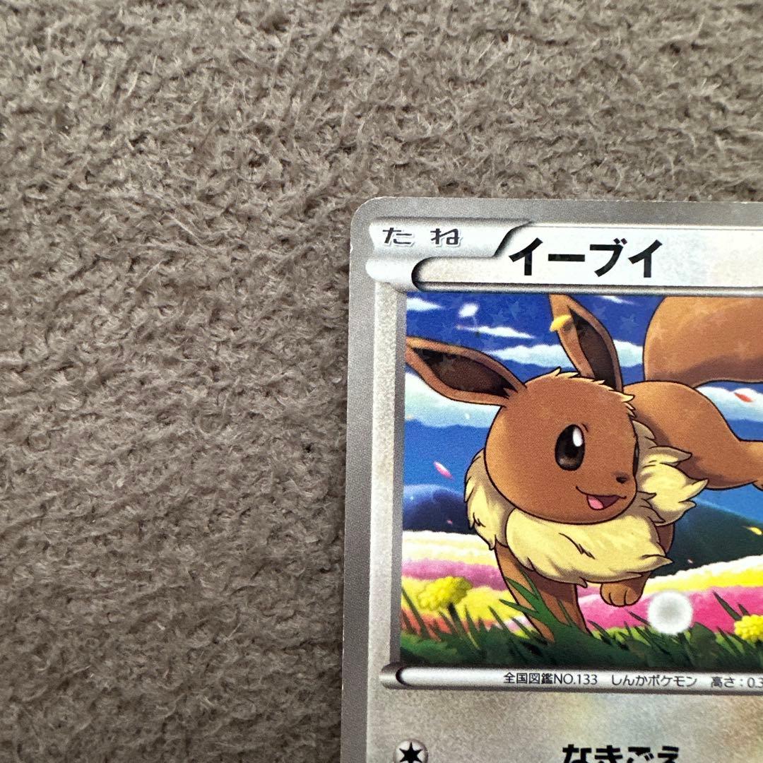 イーブイ PROMO BW-Pプロモカード 189/BW-P セブン限定 ②