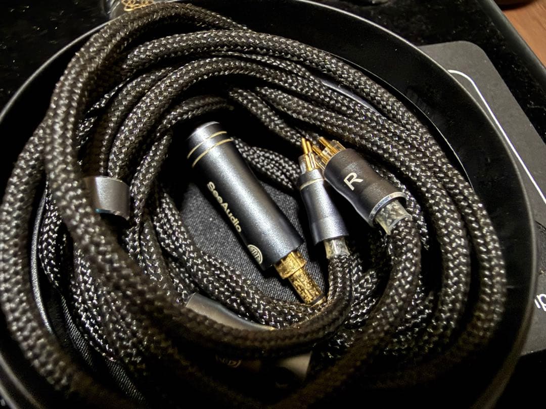 SeeAudio Bravery リケーブル可能イヤホン