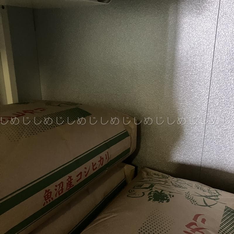 魚沼産コシヒカリ　令和7年産　白米　10キロ　米農家直送　送料無料