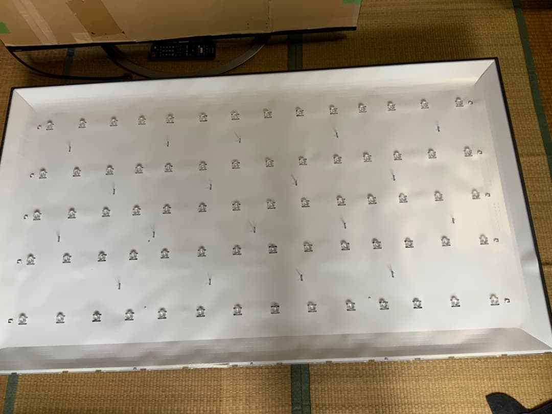 ハイセンス　65A65H 液晶バックライト　テレビ　Hisense