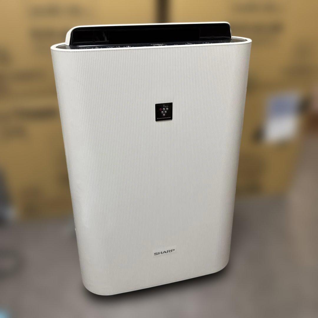 SHARP 空気清浄機 KC-N50-W 2023年製　シャープ　美品　秋　冬