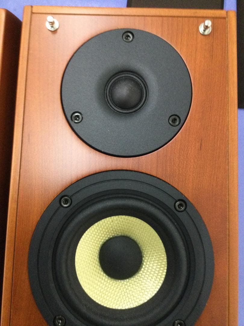 Pioneer パイオニア S-A4SPT ペア スピーカー