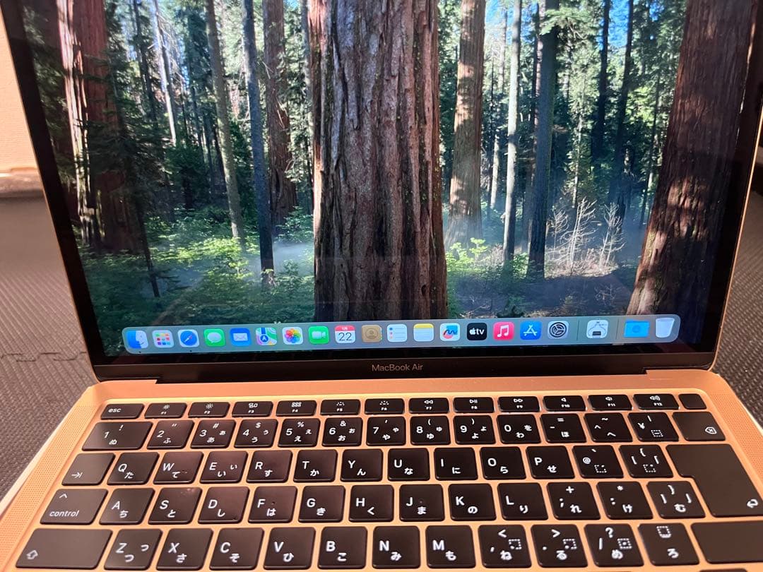 【バッテリー状態良好】Apple MacBook Air 13インチ ゴールド