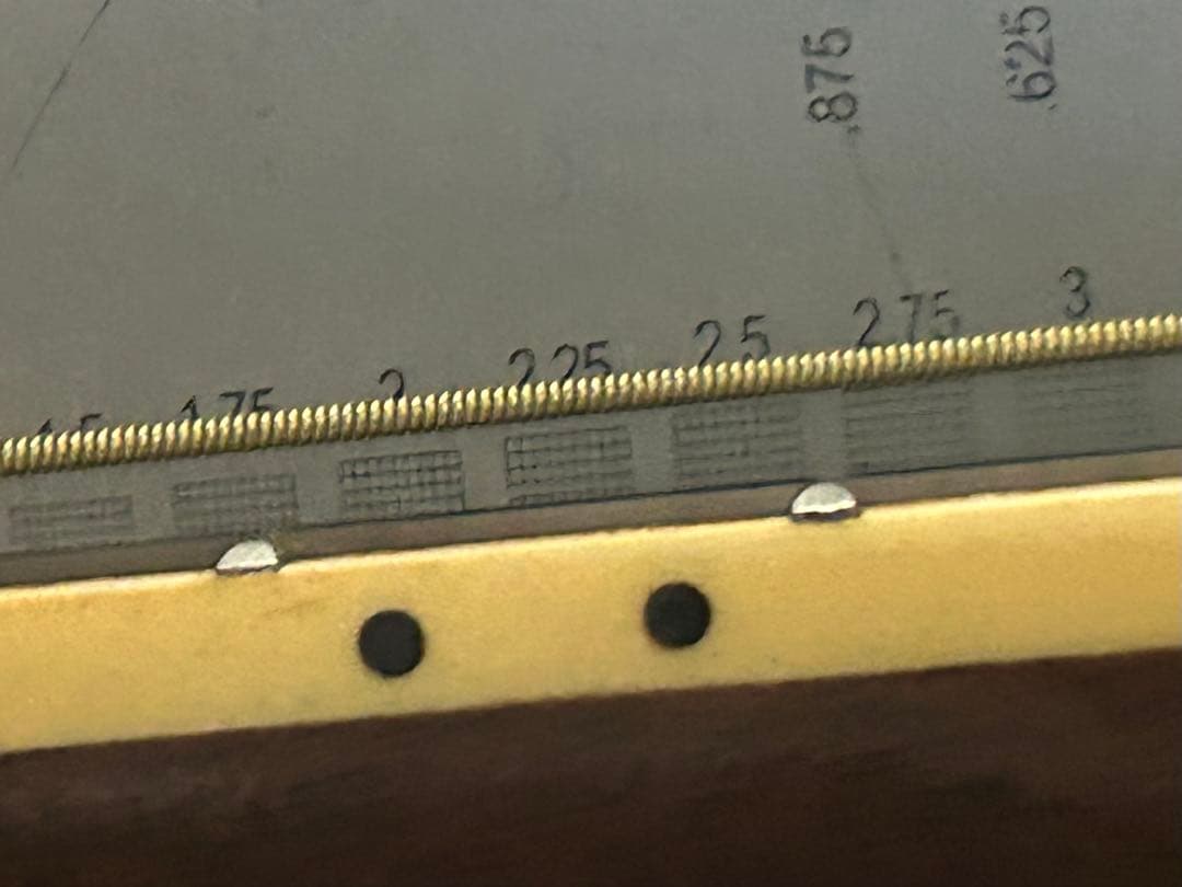 【ジャパンビンテージ】Yamaha L-5前期　純正ハードケース付き