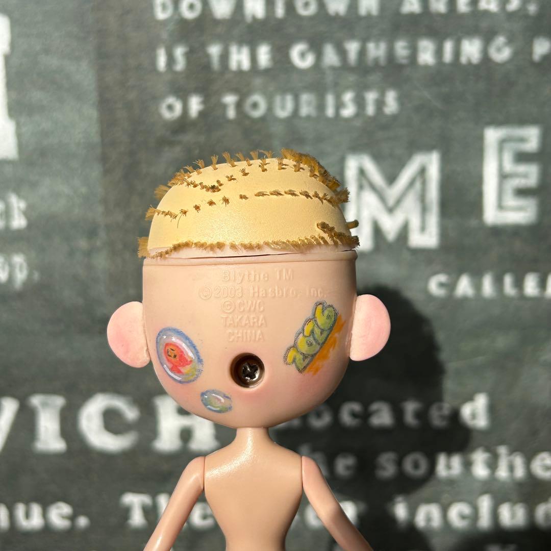 プチブライスカスタム おさかな☆ドール 専用