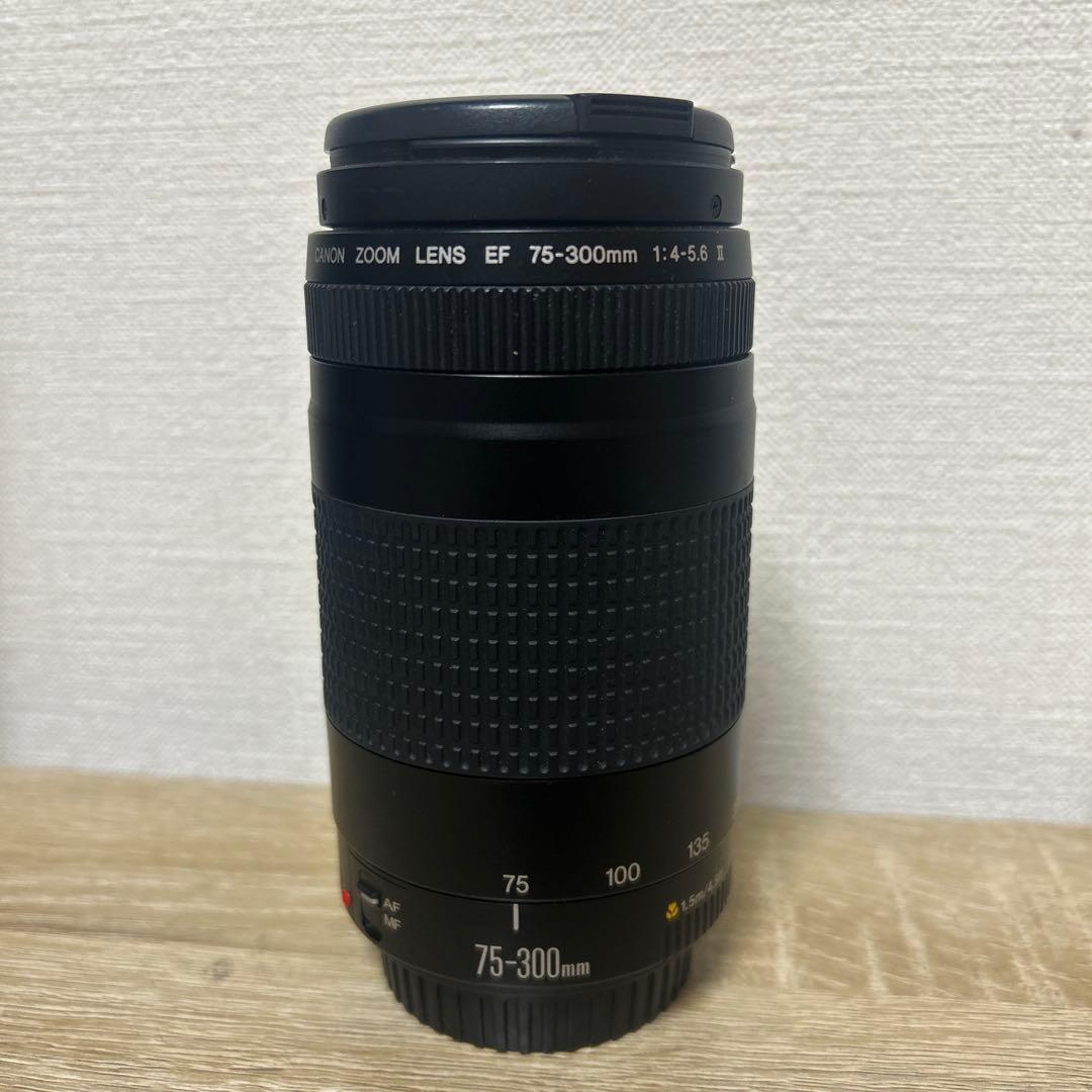 Canon EF 75-300mm USM❤望遠レンズ❤canon純正レンズ