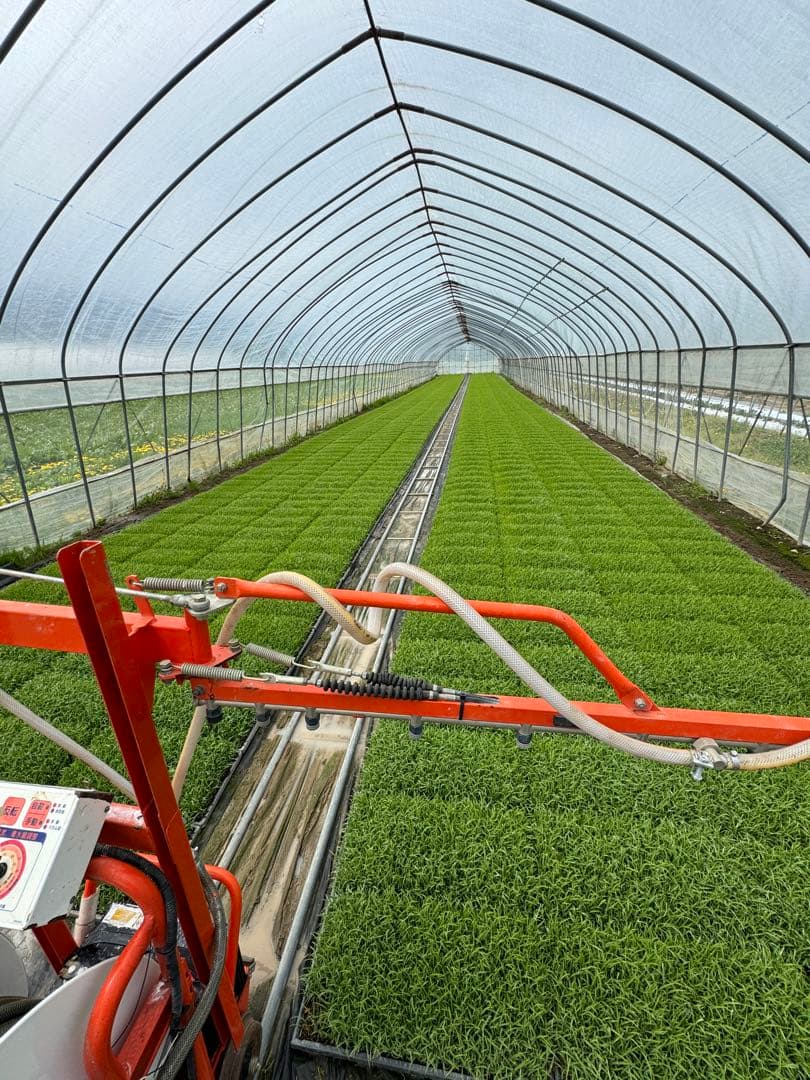 新米✳︎ゆめぴりか✳︎北海道産＊農家直送＊送料込み＊美味しいお米＊5キロ×2