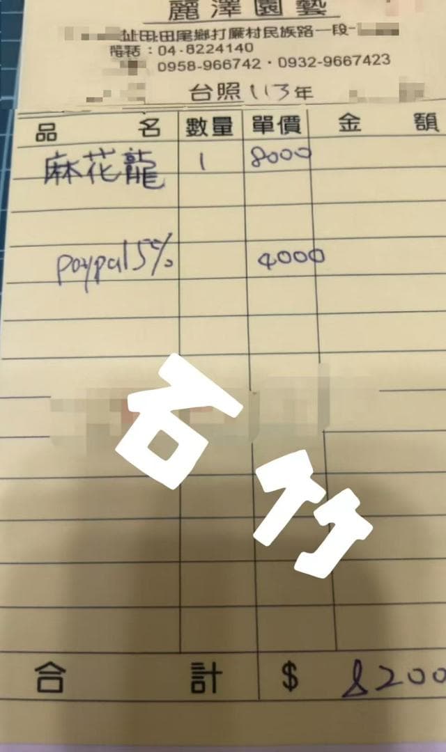 は*る様 アガベ チタノタ 麻花龍 極上強棘 特選美株 ブツブツ コレクシ Li