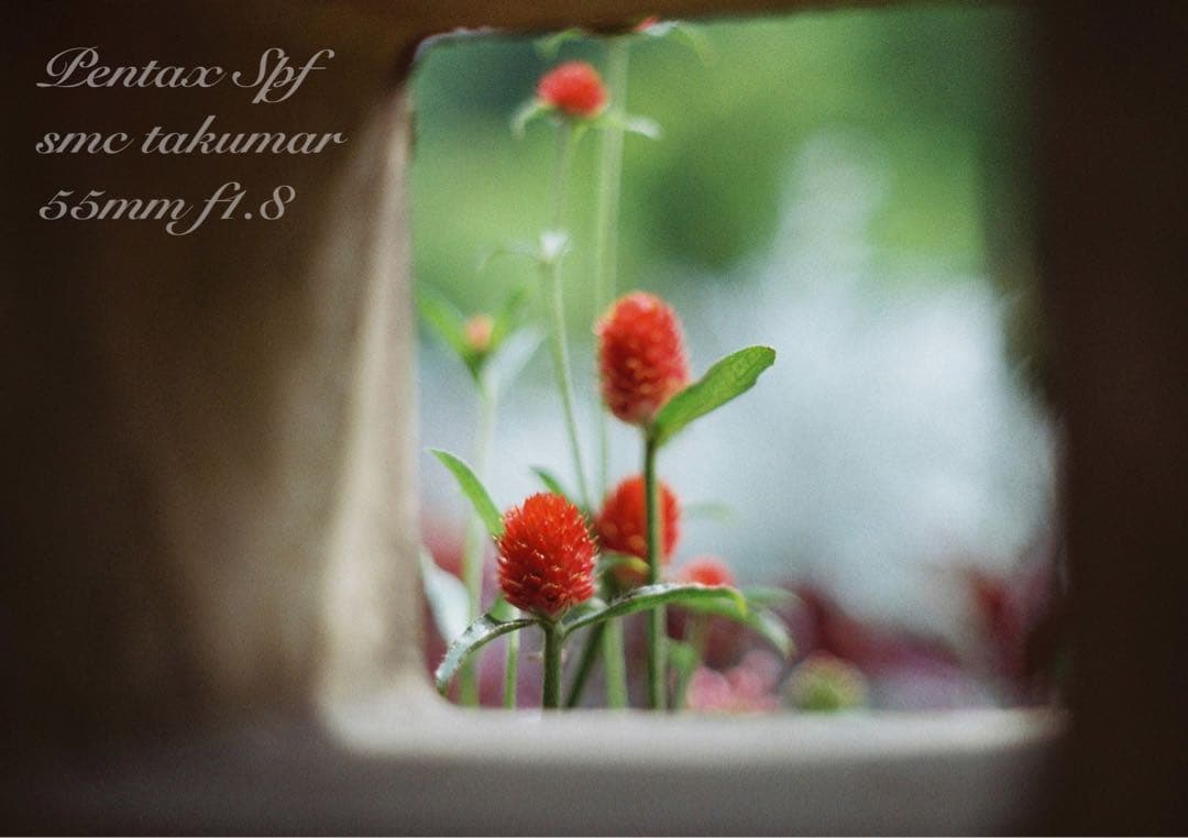 pentax spf フルセット★完動品＊美品＊初期保証付★作例多数！