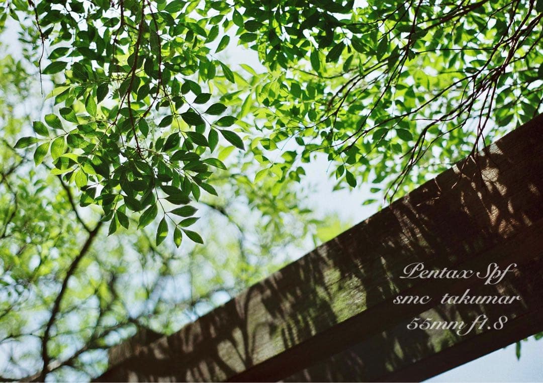 pentax spf フルセット★完動品＊美品＊初期保証付★作例多数！