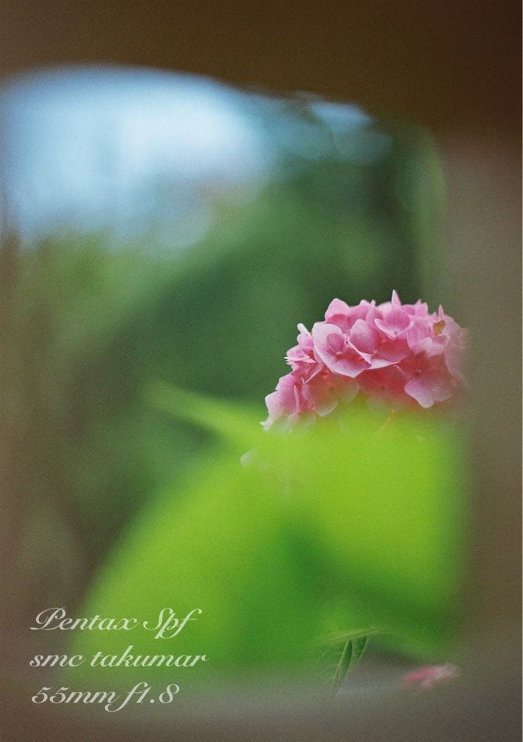 pentax spf フルセット★完動品＊美品＊初期保証付★作例多数！