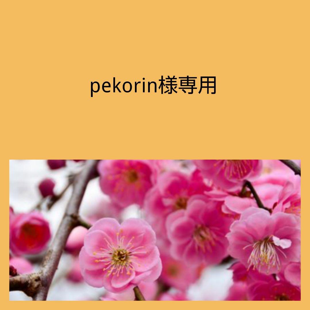 専用ページ 合計10点 K18チャーム