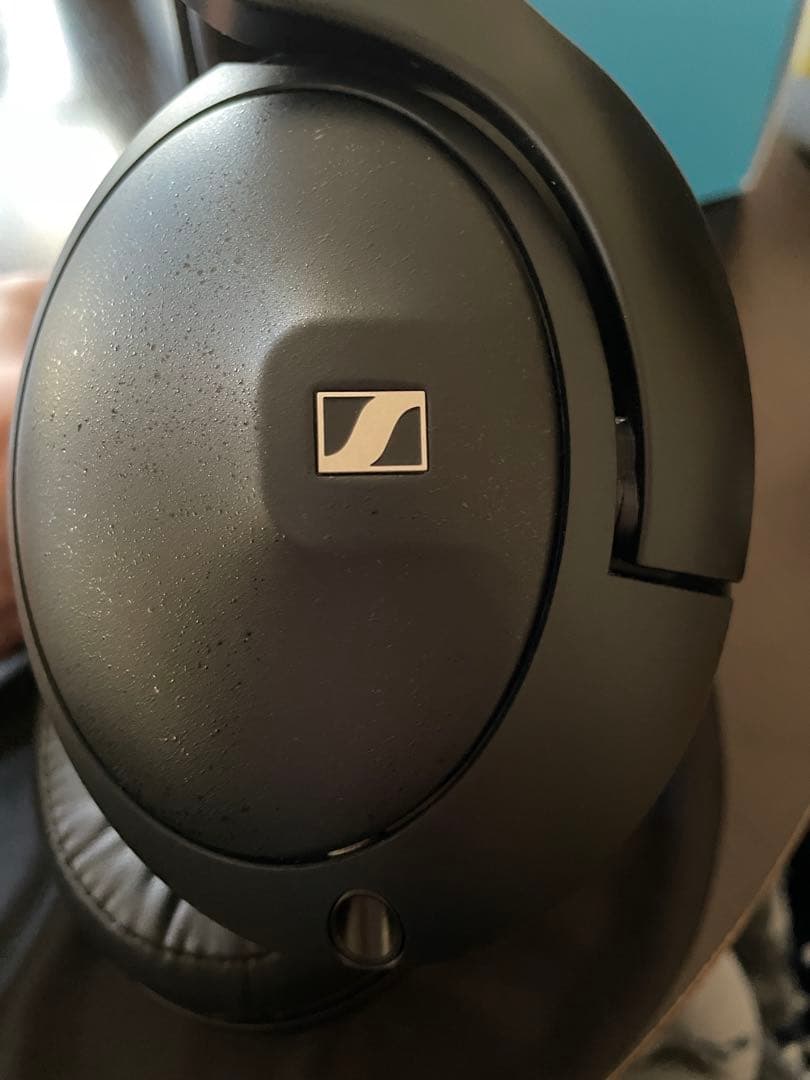 Sennheiser ゼンハイザー HD 620S