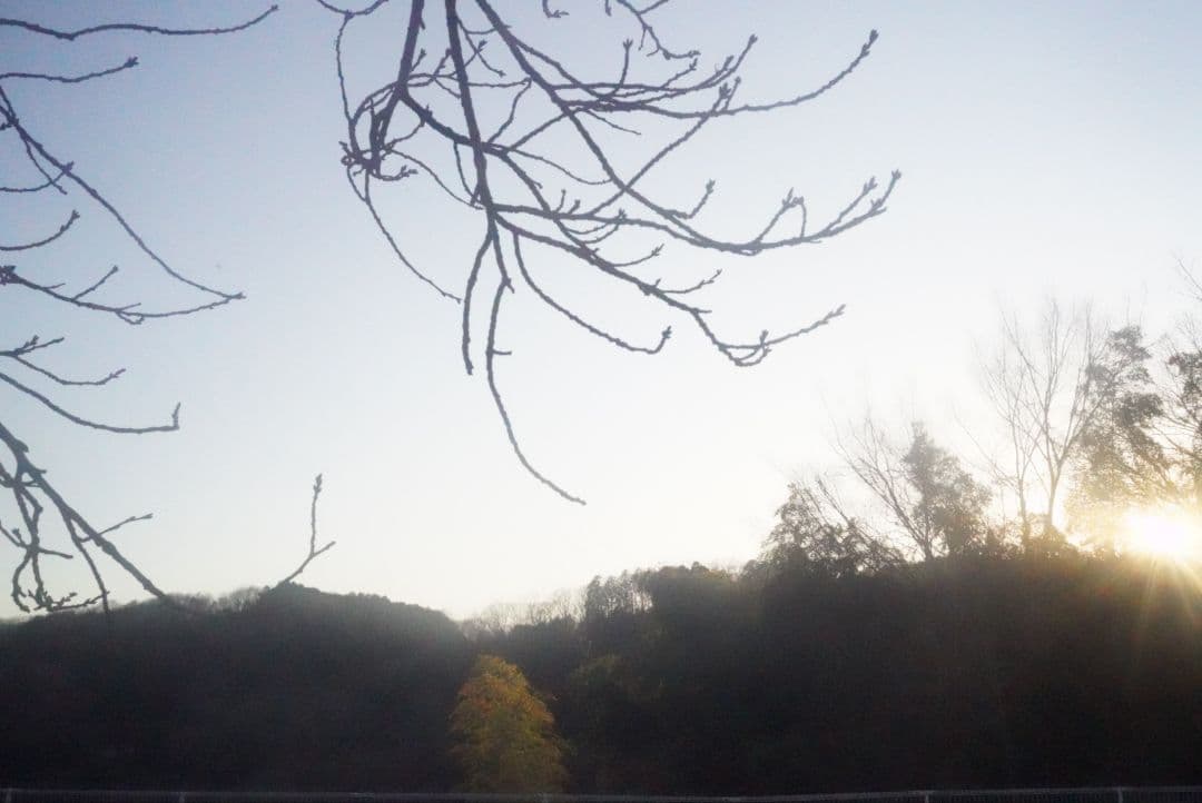 ☆作例あり☆ 日本光学 W ニッコール C 3.5㎝ F=2.5 L39マウント