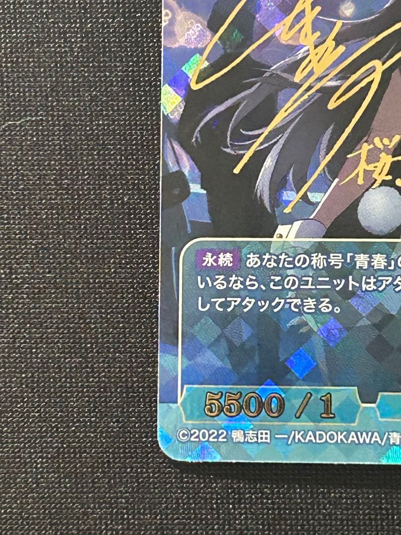 シュレディンガーの兎　桜島麻衣　br ビルディバイド青ブタ