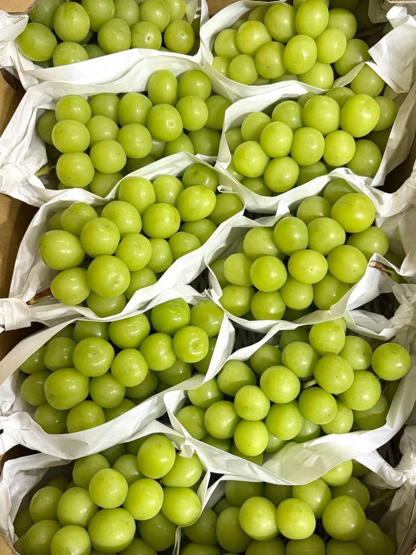 13日月曜日発送！今シーズン最後【山梨県産】シャインマスカット 5kg 産地直送