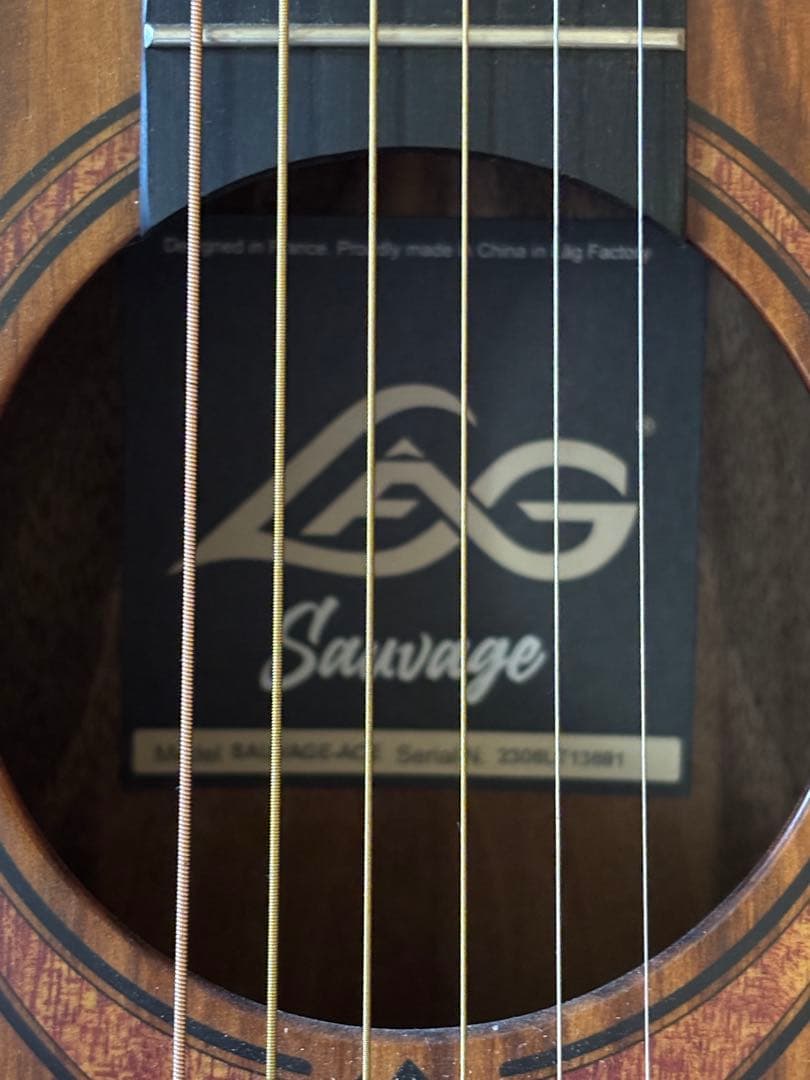 ギター LAG sauvage-ace