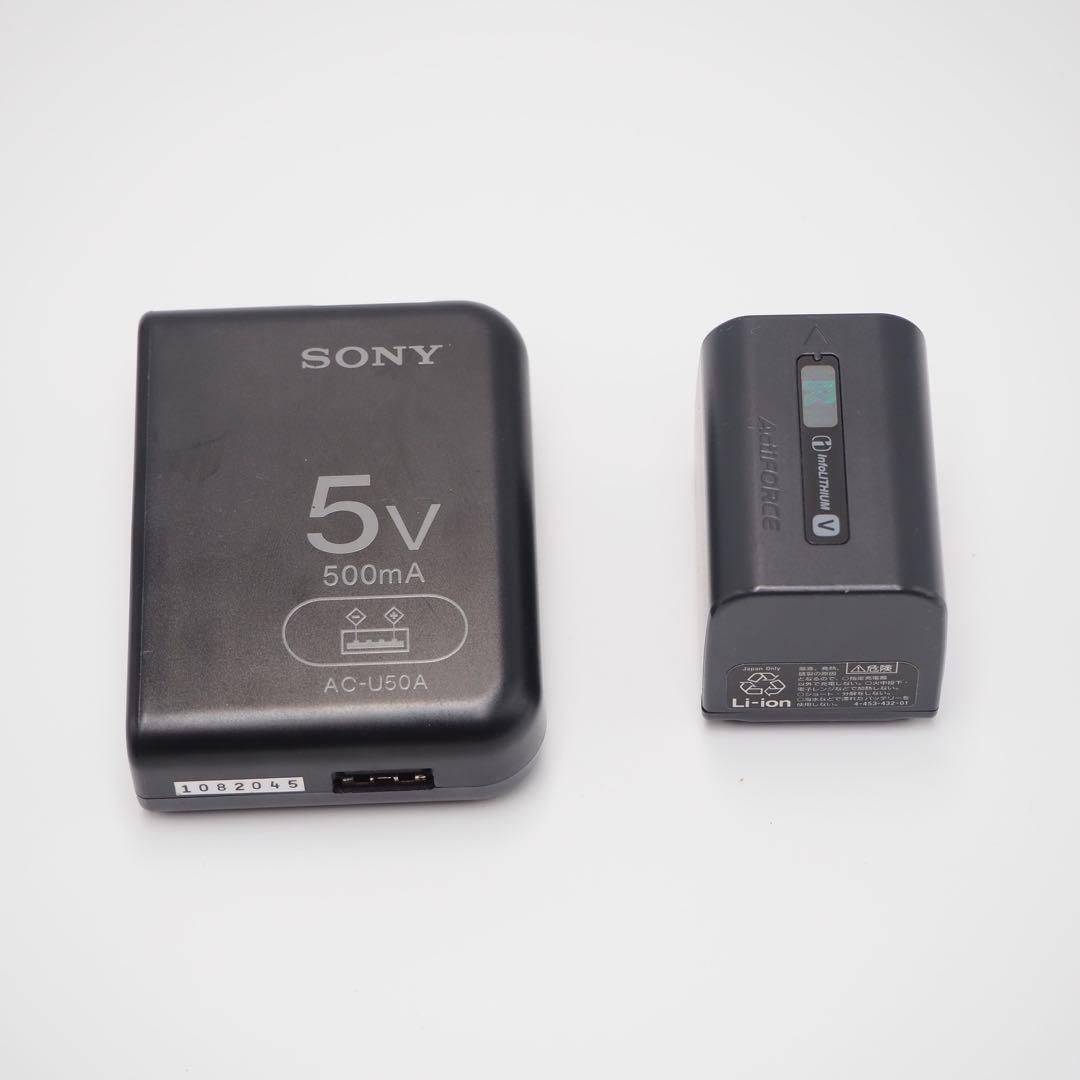 ビデオカメラ SONY HDR-PJ800 状態良好 バッテリー付き