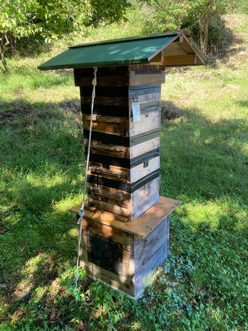 日本ミツバチのハチミツ　たれ蜜　300g×3個❣️送料込み‼️