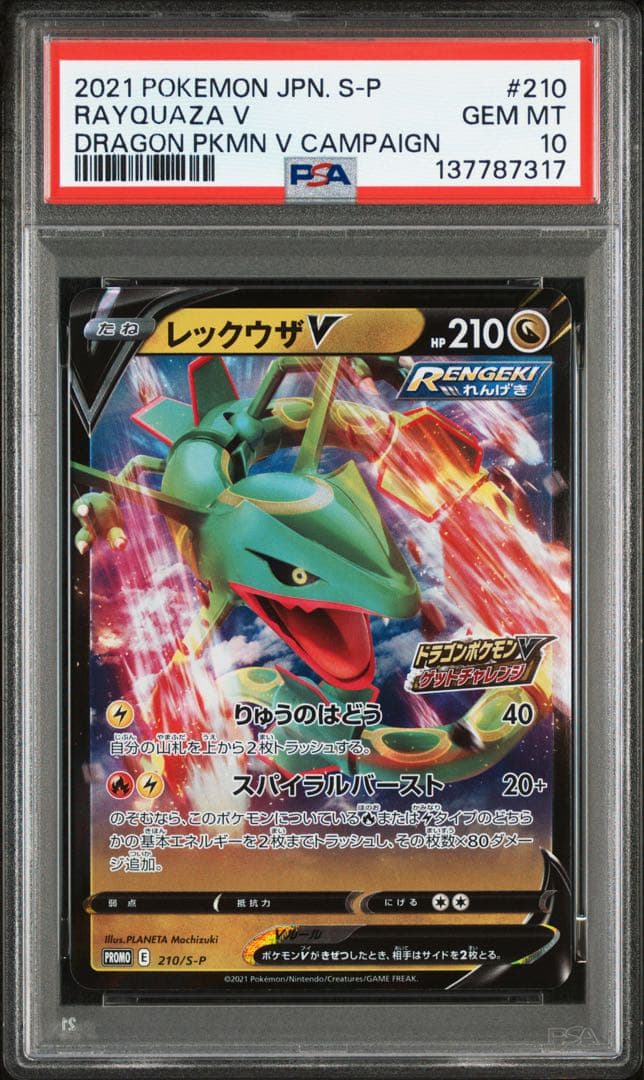【PSA10】レックウザV プロモ 210 2連番 RAYQUAZA
