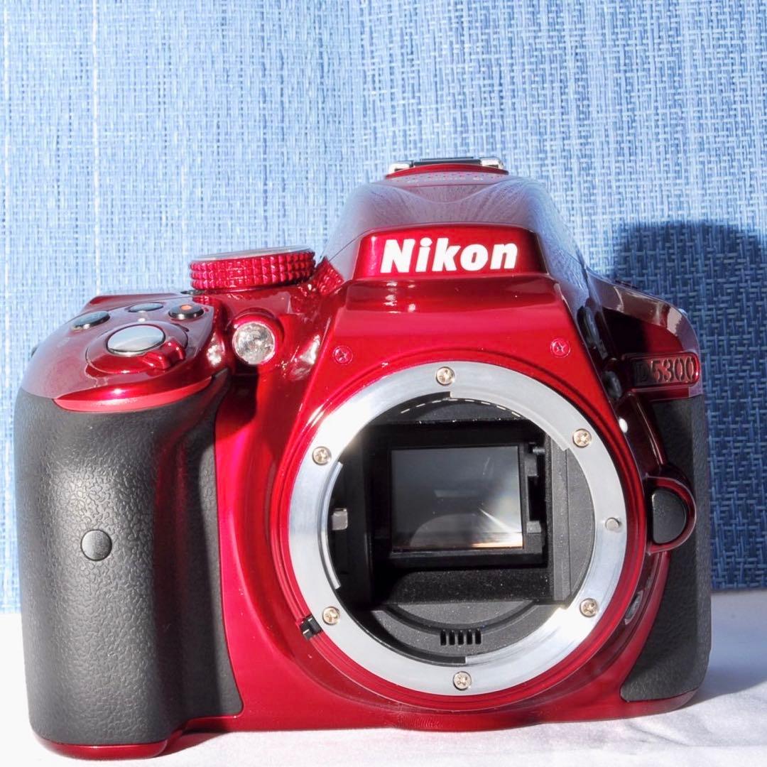 ✨Wi-Fi搭載モデル！レアカラー✨レッド✨D5300Ｗレンズキット✨