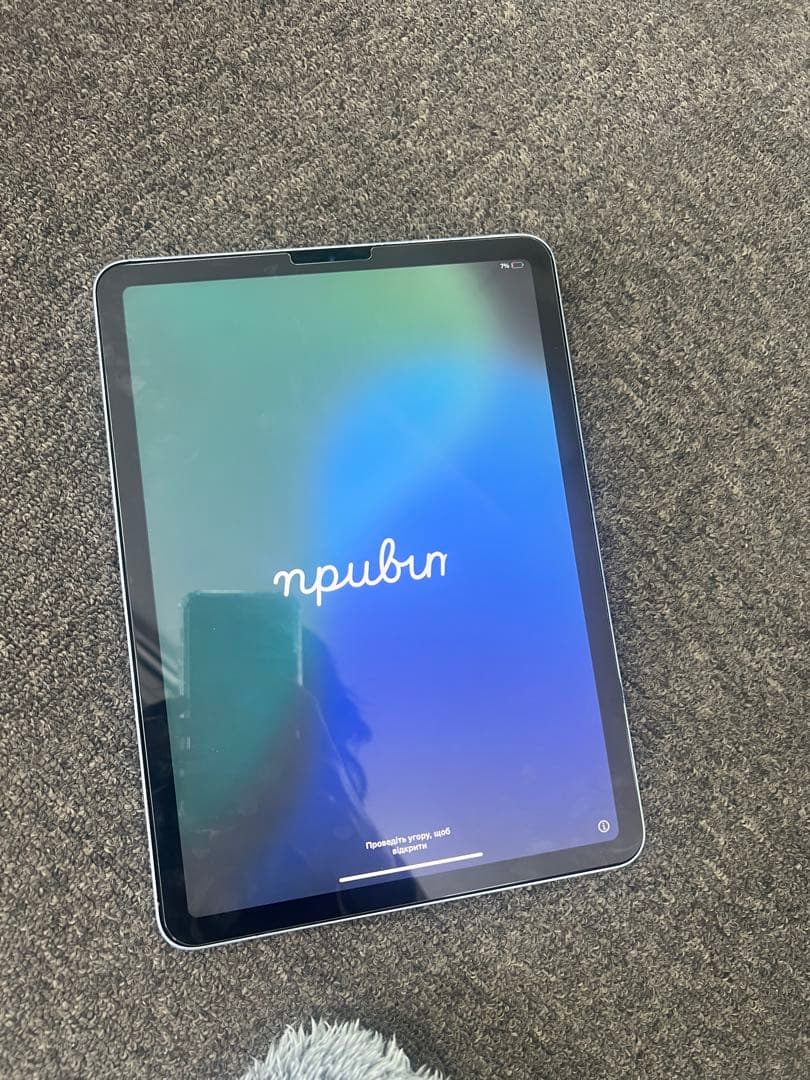 Apple iPad 本体 青