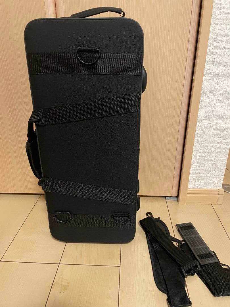 トランペット本体 専用ケース DVD付き