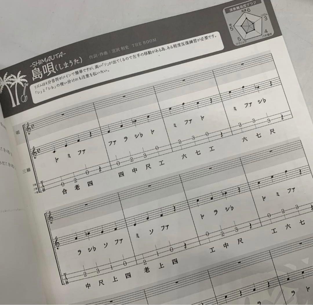 三味線本体とバッグセット