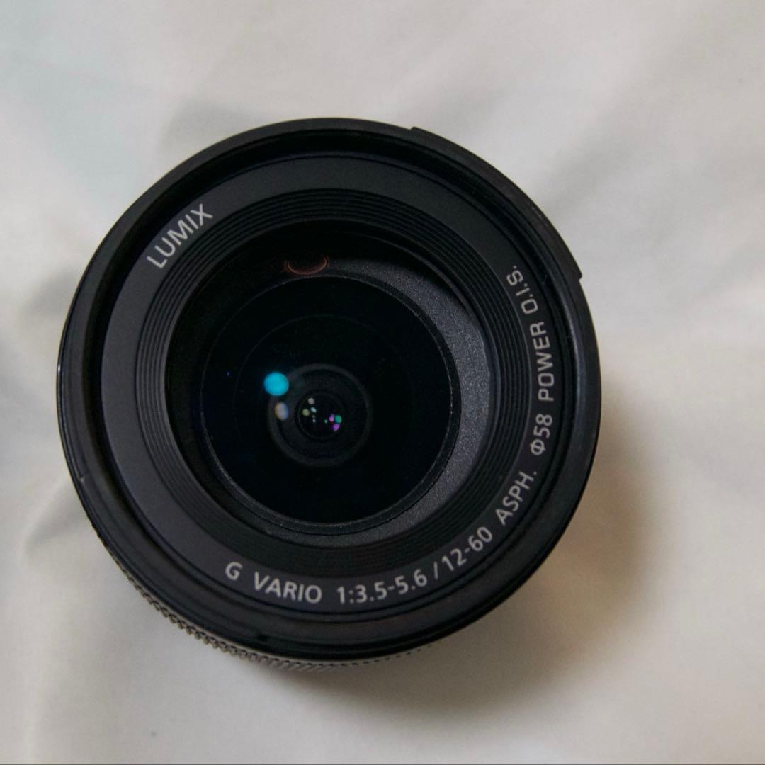 LUMIX G100d 12-60mm ズームレンズ付き