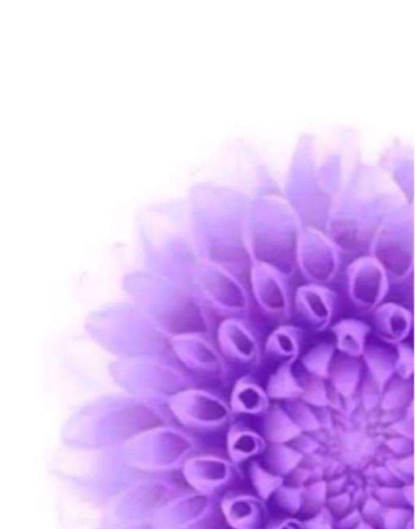 プロフ必読 クレンジングオイル M3