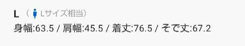 【極暖コスパ最高】ダウンジャケットLサイズ大き目美品ブラック