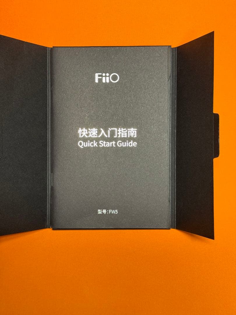 FiiO FW5 イヤーピース未使用