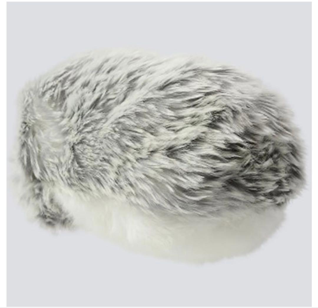 カシオ CASIO PE-M10SR [Moflin（モフリン） AIペット（コ