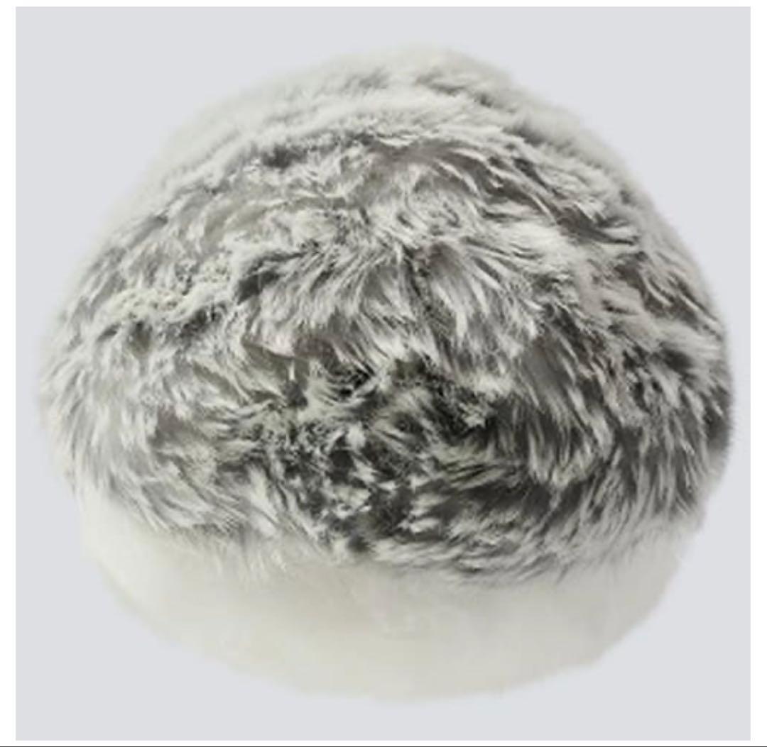 カシオ CASIO PE-M10SR [Moflin（モフリン） AIペット（コ