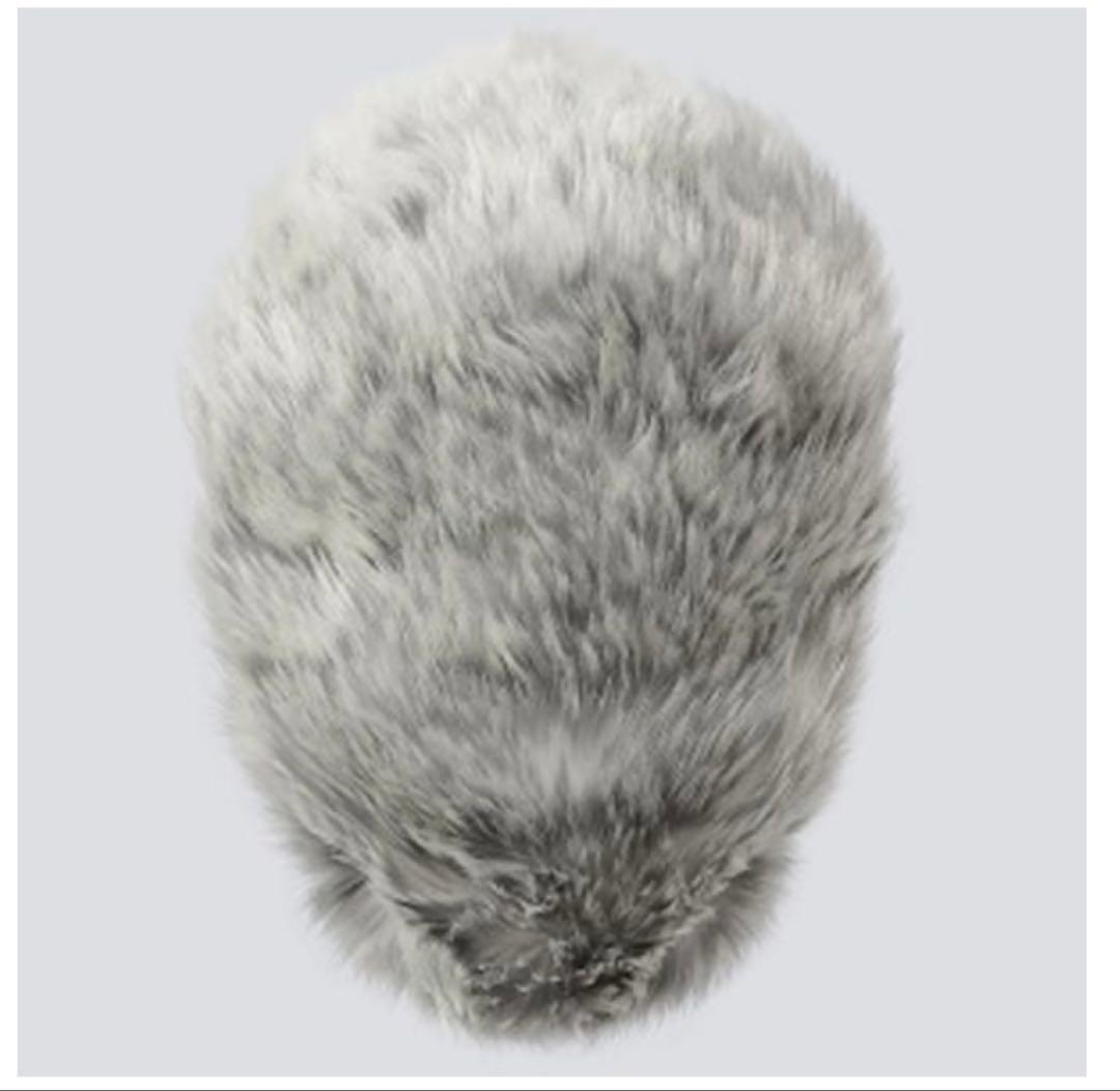 カシオ CASIO PE-M10SR [Moflin（モフリン） AIペット（コ