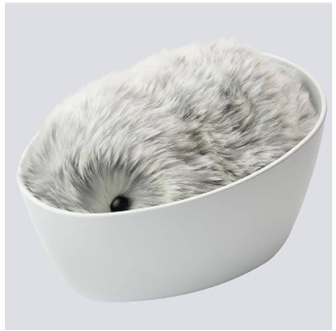 カシオ CASIO PE-M10SR [Moflin（モフリン） AIペット（コ