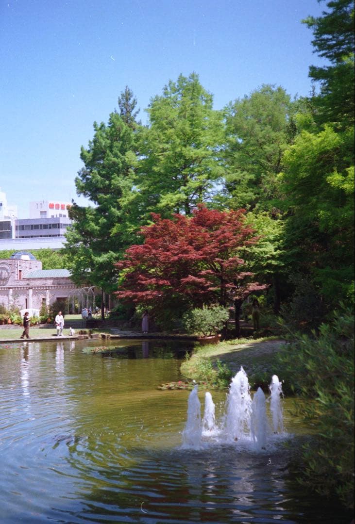 OLYMPUS 35RC 整備完動品、テスト撮影済み　371001