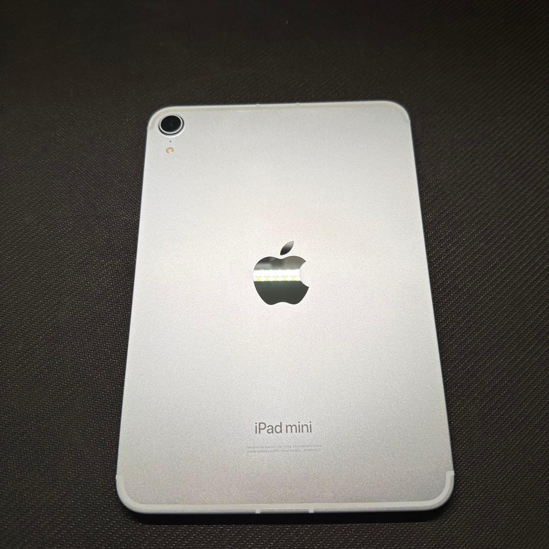 iPad mini A17Pro 128GB cellular 極美品