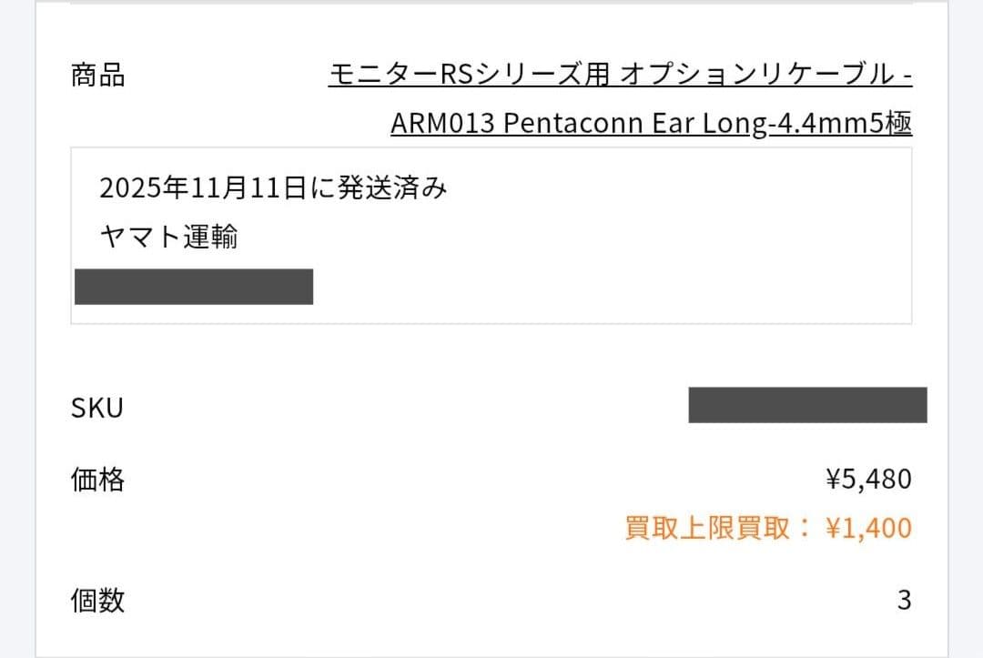 O2aid intime 煌 MarkII Pentaconn ear 美品