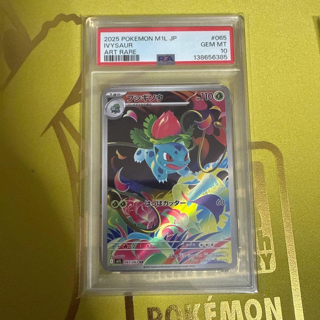 フシギダネ　フシギソウ　メガフシギバナ　psa10 3連番