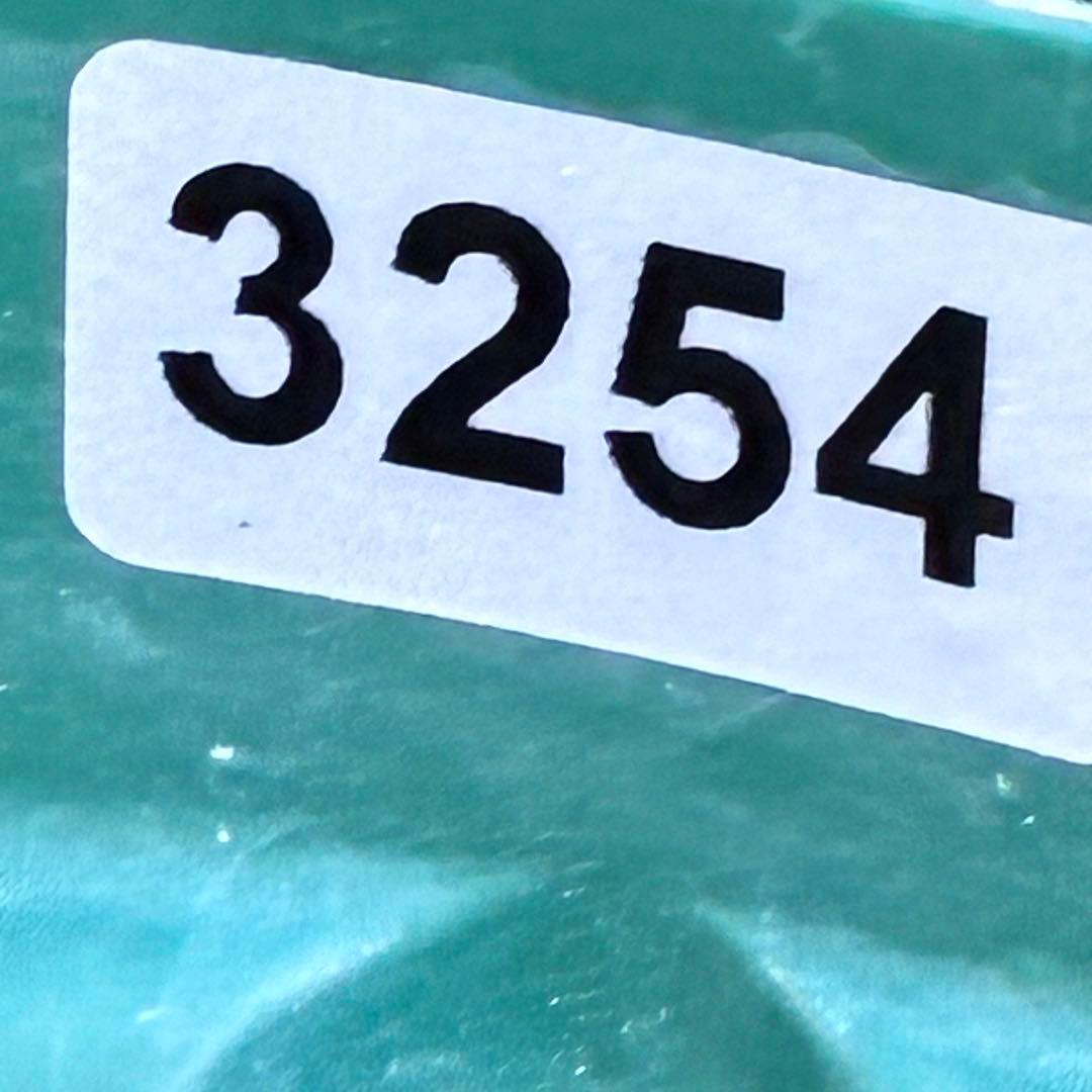 A*️様 ☘️ラスト2☘️開花株❤️沢山新芽元気株3254⭐️極上透明感優しいピ