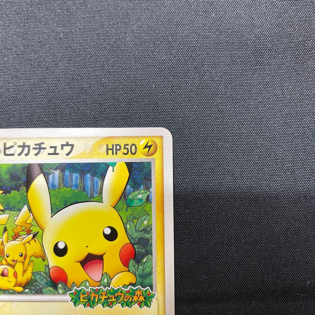 裏*ぶ様 ポケパークのピカチュウ PROMO PCG-Pプロモカード 043/P