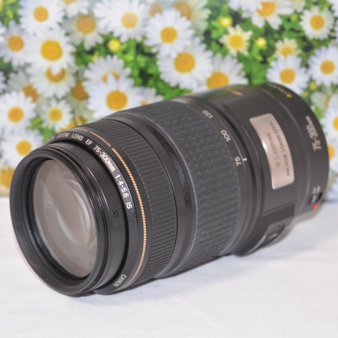 Canon EF 75-300mm IS USM❤フルサイズでも使える！❤超望遠