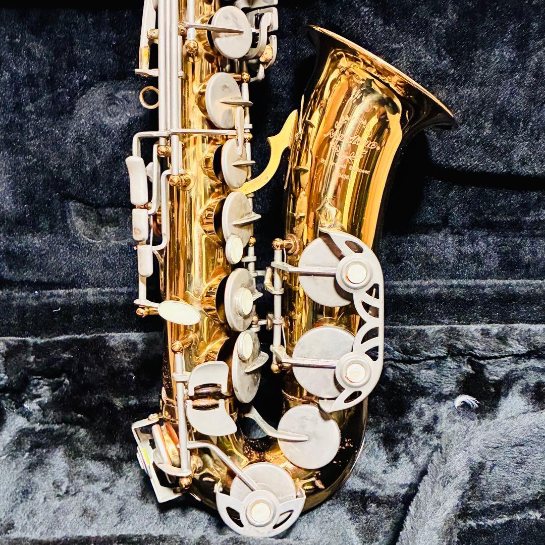 アルトサックス maxtone ジャンク ハードケース付