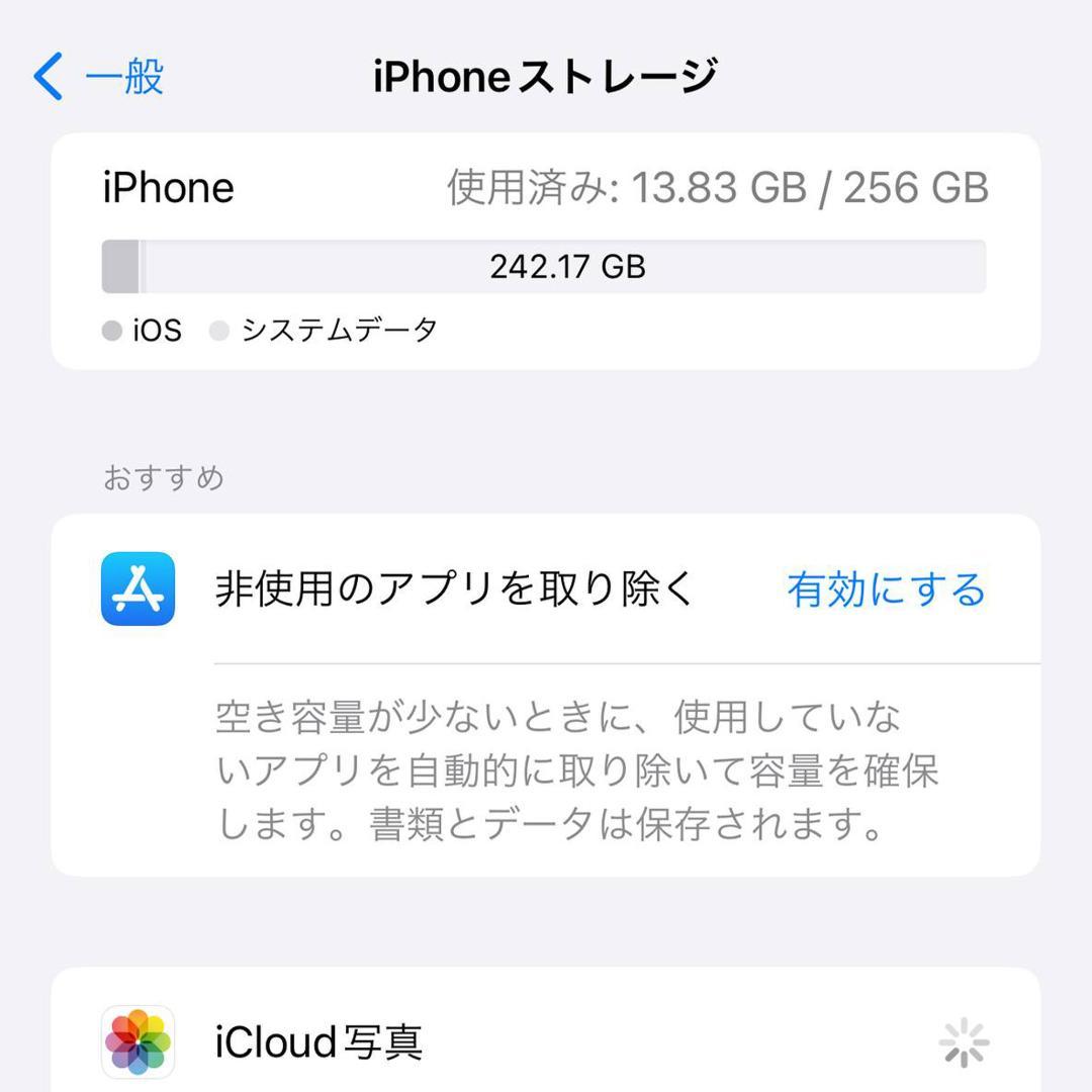 iPhone 13 Pro Max 256GB シエラブルー本体
