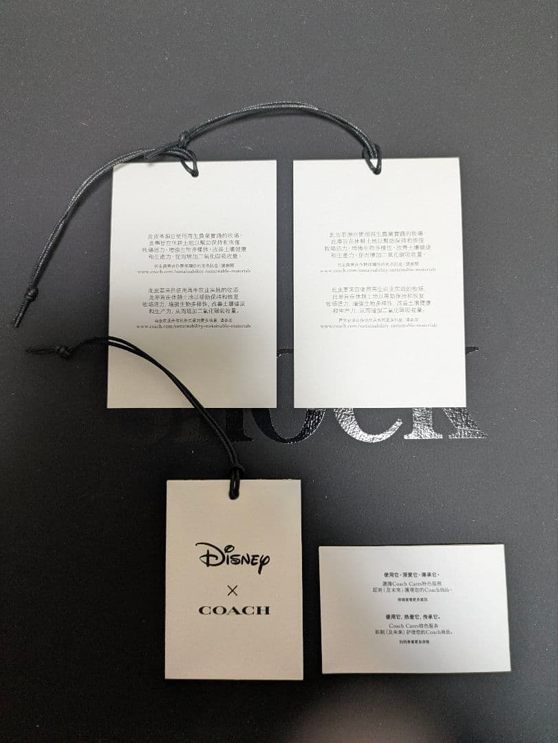 【新品、未使用】♡COACH×Disneyミニー♡カードケース 、パスケース