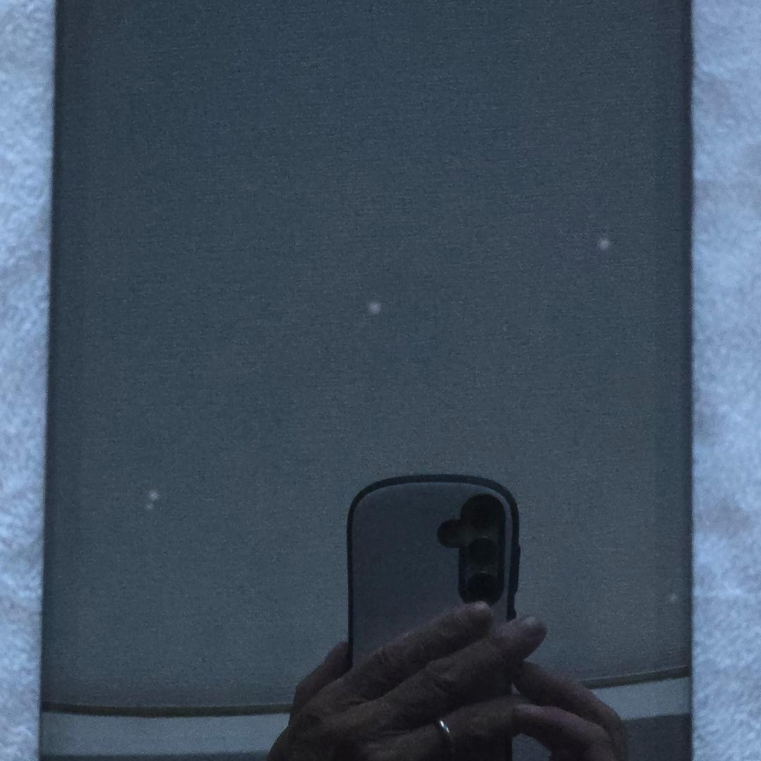 Samsung Galaxy Tab S6 Lite (Wi-Fi) 美品