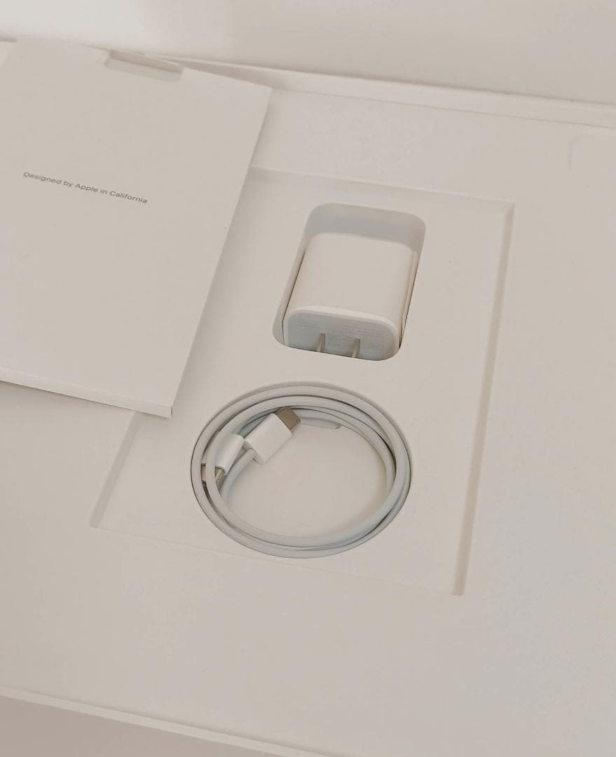 美品　iPad Pro 12.9 第5世代 256GB MHNJ3J/A